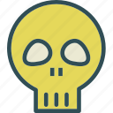 bones, head, human, skull 