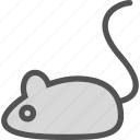 animal, experiment, mouse 