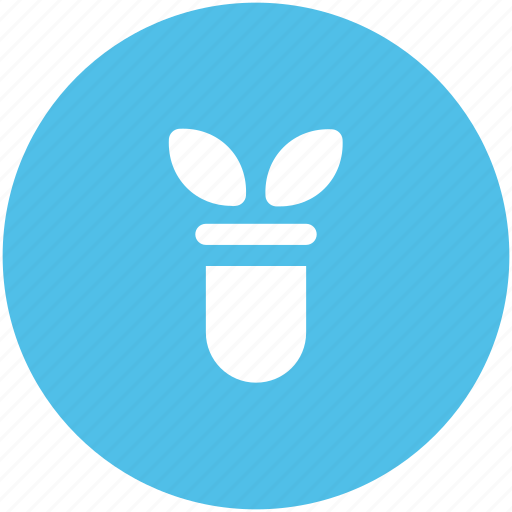 Agriculture test, botany experiment, lab experiment, plant research, science project, test tube icon - Download on Iconfinder