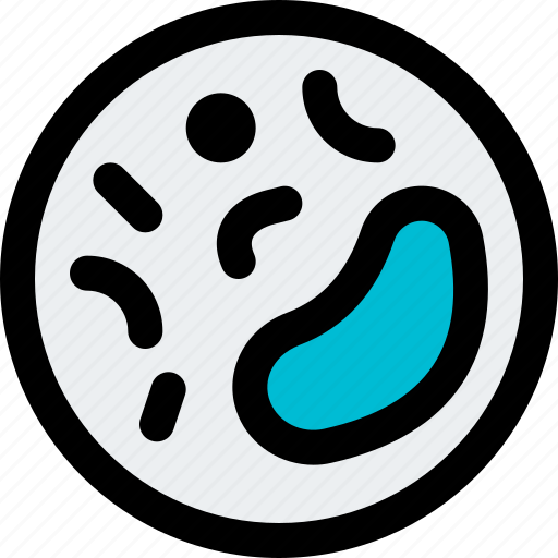 Bacteria, science, laboratory icon - Download on Iconfinder