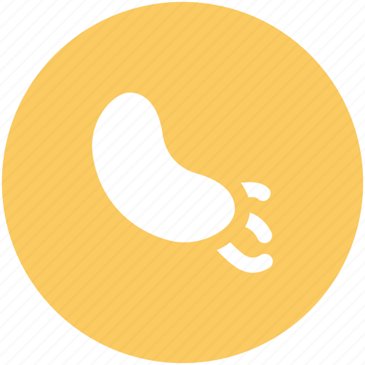 Fertile, human sperms, reproductive cell, semen, sperms, sperms cells icon - Download on Iconfinder