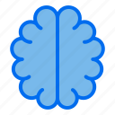 brain, mind, neuron, intelligence, science