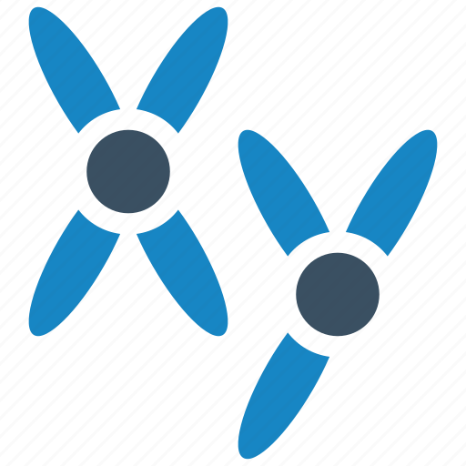 Chromosome, science, chromosomes, dna, molecule, xy, laboratory icon - Download on Iconfinder