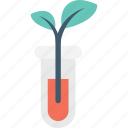 botany experiment, experiment, plant, research, test tube