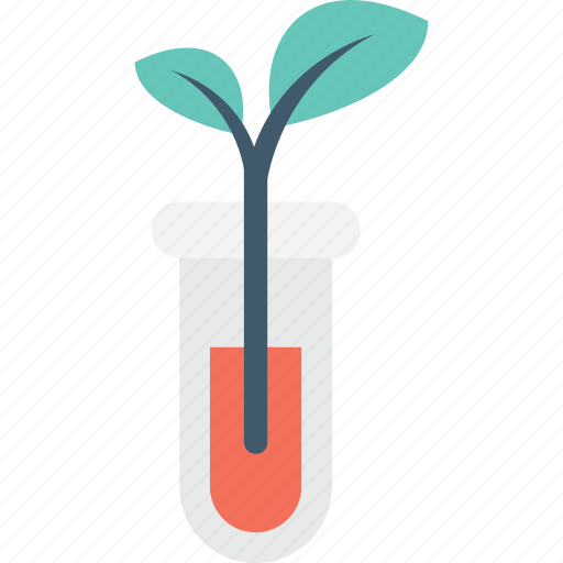 Botany experiment, experiment, plant, research, test tube icon - Download on Iconfinder