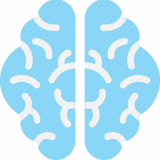 Brain, brainstorming, human brain, intelligence, organ icon - Download on Iconfinder