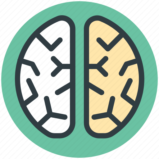 Brain, head, human brain, human head, think symbol icon - Download on Iconfinder