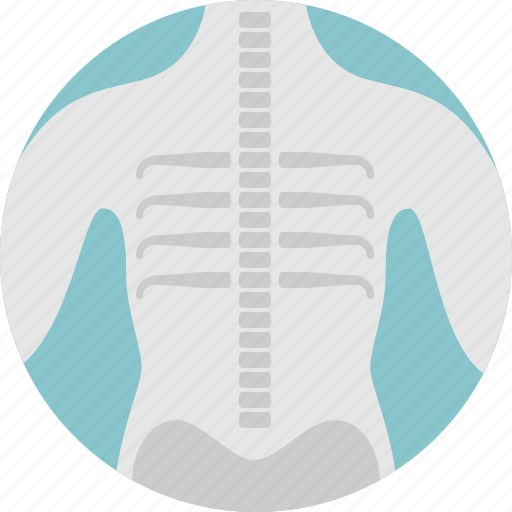 Body, boons, medical, skeleton, xray icon - Download on Iconfinder