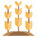 agriculture, farm, farming, nature, sprout