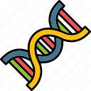 dna, sequence, strand, gene, genetic, cell