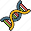 dna, sequence, strand, gene, genetic, cell 