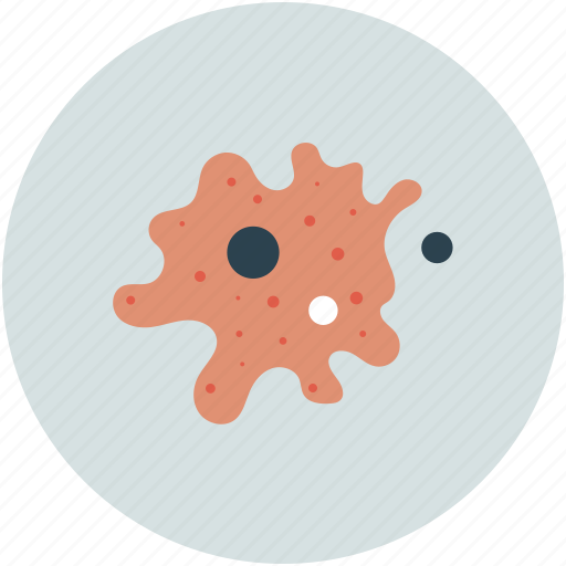 Cytoplasm, membrane, nucleus, virus icon - Download on Iconfinder