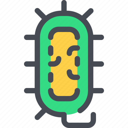 Bacteria, biology, education, laboratory icon - Download on Iconfinder