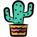 cactus, cactus pot, mexican cactus, succulent, desert plant