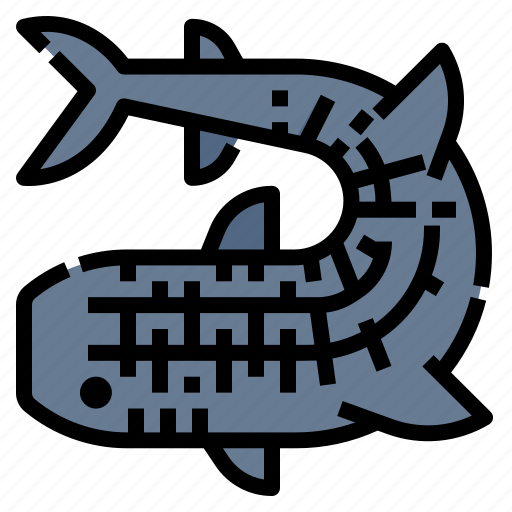 Marine, shark, aquatic, mammals, animal, whale icon - Download on Iconfinder