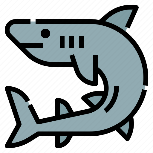 Marine, shark, aquarium, animal, ocean, sea icon - Download on Iconfinder