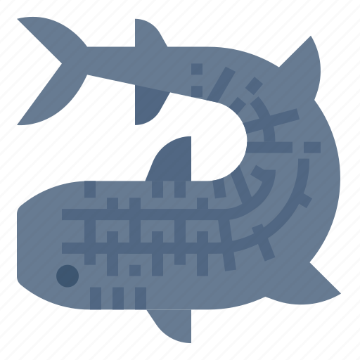 Mammals, aquatic, shark, marine, whale, animal icon - Download on Iconfinder