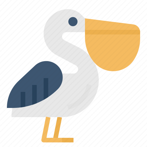 Seabirds, animal, bird, pelican, fly icon - Download on Iconfinder