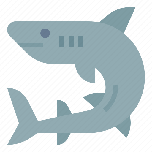 Ocean, shark, marine, sea, animal, aquarium icon - Download on Iconfinder