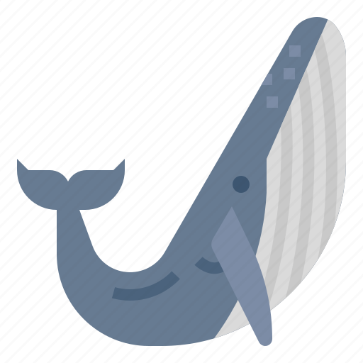 Ocean, mammals, aquatic, marine, whale, animal icon - Download on Iconfinder