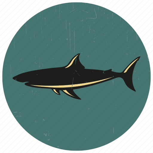 Fish, sea, sea creature, sea life, sealife, shark icon - Download on Iconfinder