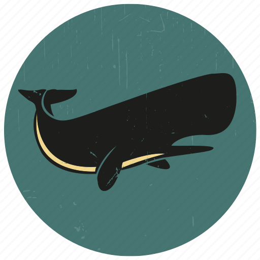 Blue whale, humpback, sea creature, sea life, sealife, sperm whale, whale icon - Download on Iconfinder