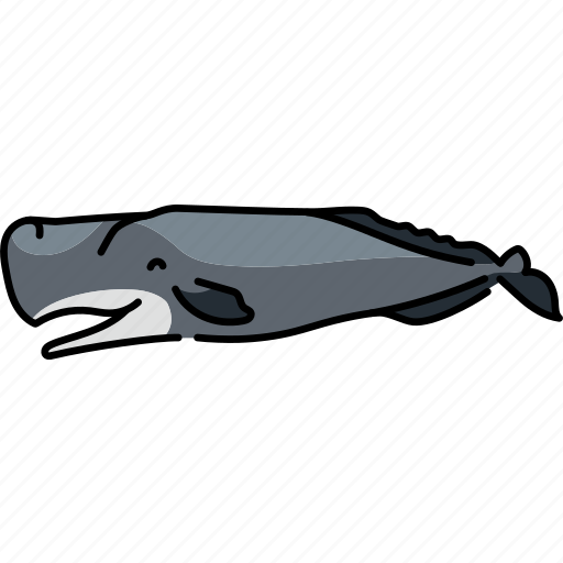 Cachalot, sperm, whale, toothed, predator icon - Download on Iconfinder