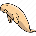marine, mammal, dugong