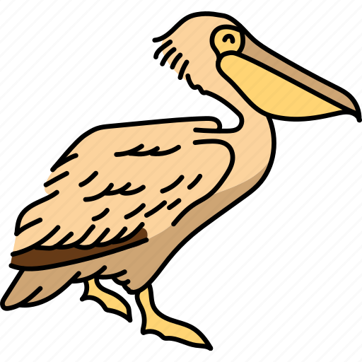 Pelican, bird, sea icon - Download on Iconfinder