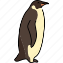 penguin, flightless, seabird