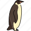 penguin, flightless, seabird 