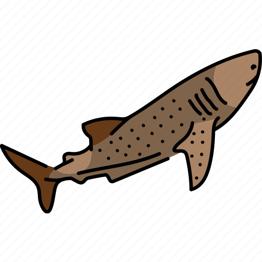 Predator, shark, whale icon - Download on Iconfinder
