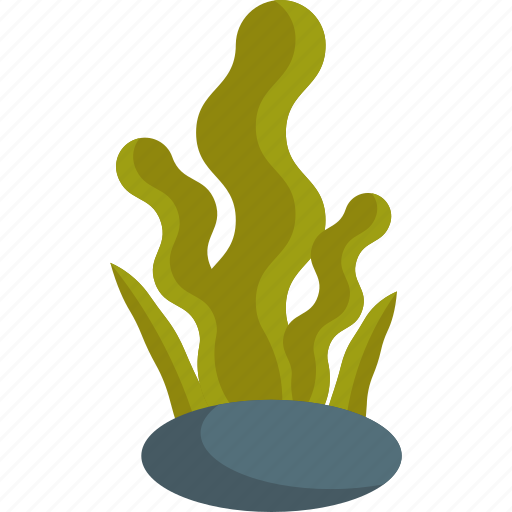 Alga, food, sea, seaweed icon - Download on Iconfinder