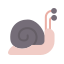 animals, shell, slow, slug, snail 