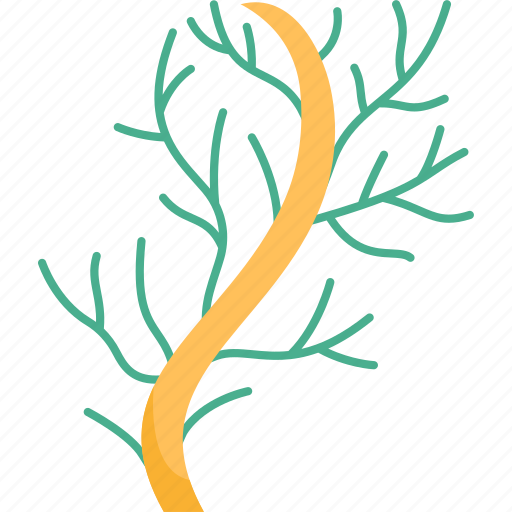 Wireweed, seaweed, plant, underwater, marine icon - Download on Iconfinder
