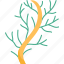 wireweed, seaweed, plant, underwater, marine 