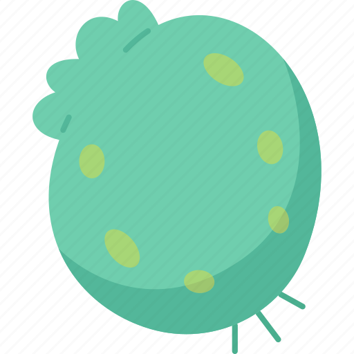 Spherical, turtle, shell, plant, aquarium icon - Download on Iconfinder