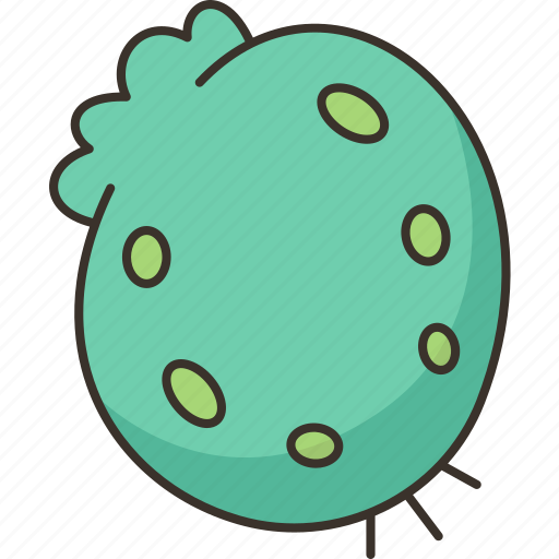 Spherical, turtle, shell, plant, aquarium icon - Download on Iconfinder
