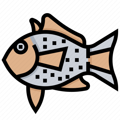 Animal, aquarium, atlantic, fish, seafood icon - Download on Iconfinder