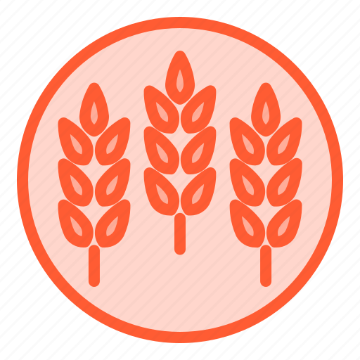 Fibers, food, healthy, meal, oats icon - Download on Iconfinder