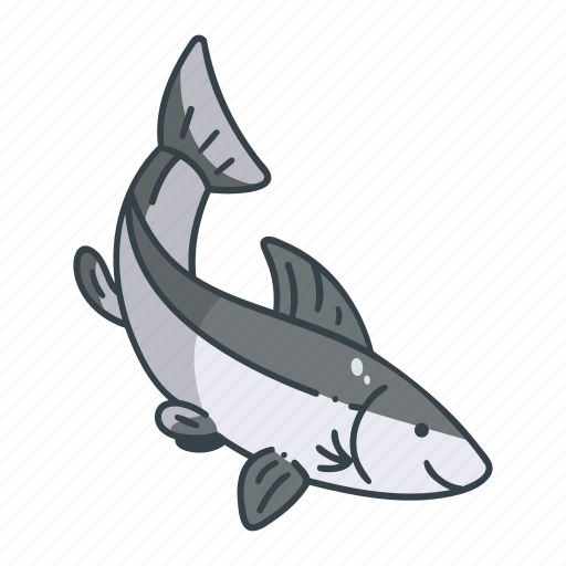 Ocean, fish, sea, animal, wildlife, salmon, aquatic icon - Download on Iconfinder