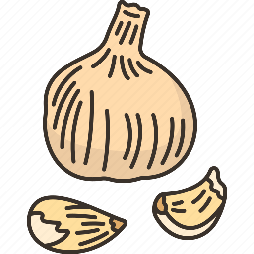 Garlic, ingredient, vegetable, herb, spice icon - Download on Iconfinder