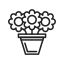 planted flower, flower, nature, plant, blossom, floral, garden, decoration 