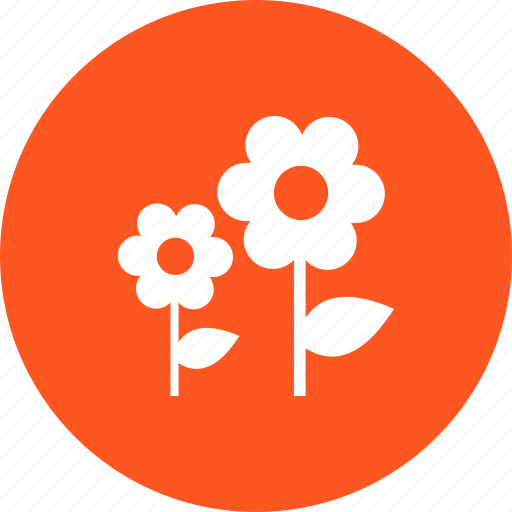 Beautiful, colorful, flowers, garden, nature, spring, summer icon - Download on Iconfinder