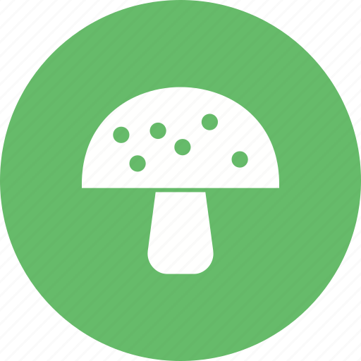 Eating, food, fresh, health, healthy, meal, mushroom icon - Download on Iconfinder