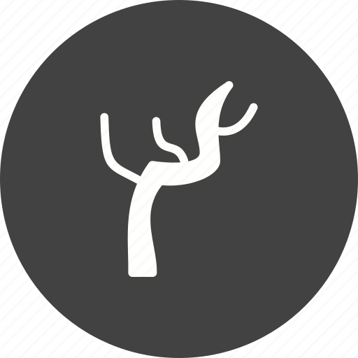 Bare, branch, branches, nature, plant, tree icon - Download on Iconfinder