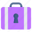 locked bag, locked briefcase, locked suitcase, briefcase security, briefcase protection 