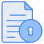 document encryption, data, security, lock, protection, archive, safety 
