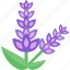 flower, groats, purple, seeds 