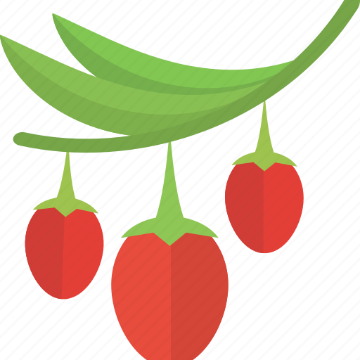 Berry, food, groats, red, seeds icon - Download on Iconfinder